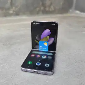 SAMSUNG GALAXY Z FLIP 4 5G SEIN 256 GB