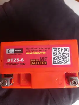 Accu Dry Plus 12V5Ah