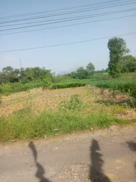 Dijual tanah pertanian SHM