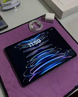 ipad pro 2022 m2 256gb WIFI