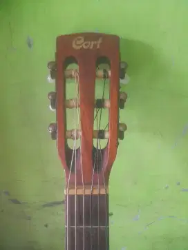 FS Cort CEC1 OP