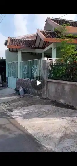 Sewa rumah hijau