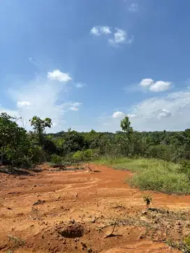 Tanah 17 Jutaan Mayang Jambi