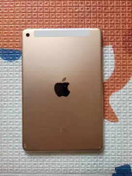 Ipad mini 4 celluler wifi 16gb