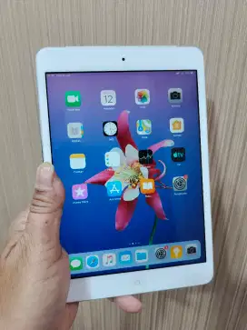 iPad mini2 32gb ibox celluler