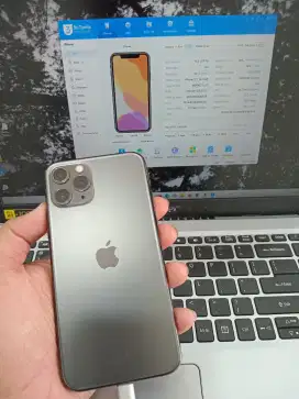 Iphone 11 Pro 256GB Lupa Icloud