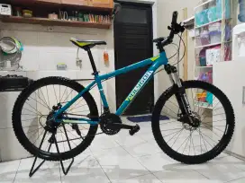 Sepeda polygon Monarch 4
