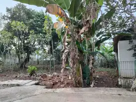 Dijual Tanah  Tanah Setu