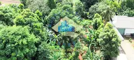 Jual Tanah di Jl. Raya Kadusirung, Cisauk,Tangerang - Banten