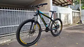 MTB Foster 26 inch