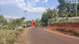 Tanah Jl raya Duduhan Kel Jatibarang Kec Mijen Semarang Barat