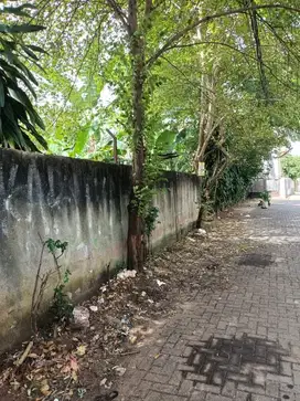 Tana di Tangerang Selatan