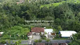 Land For Sale Murah  Luas  2700 m2 Jungle & Sungai di Ubud