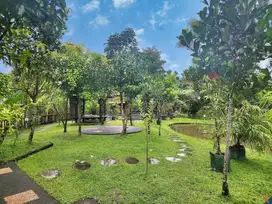 Villa View Gunung & Sawah Marga Baturiti Tabanan