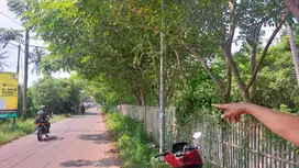 Jual Cepat Tanah Luas Siap Dibangun Area Tanjung Anom Mauk Tangerang