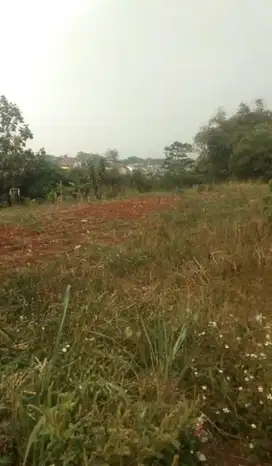 Dijual Tanah Murah di Cibinong