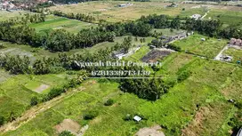 Dijual  Tanah Murah Luas 39 Are Kawasan Villa di Ubud Bali
