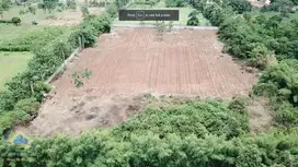 Jual Tanah Murah di Dangdang, Cisauk, Tangerang - Banten.