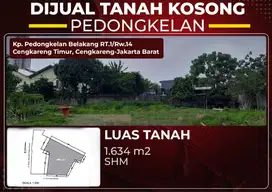 Dijual Tanah Kosong Pendongkelan Cengkareng Timur