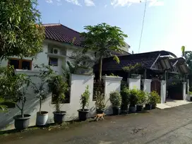 Rumah dijual full furnish 400 m2 Tanah Baru Tanah sereal kota Bogor