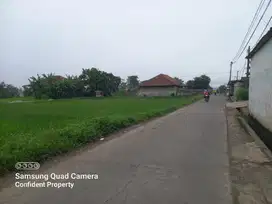 Dijual tanah di Sapan Gedebage cocok untuk pabrik atau gudang