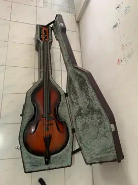 Upright Bass custom