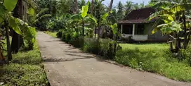 Tanah kavling murah di sentolo kulonprogo