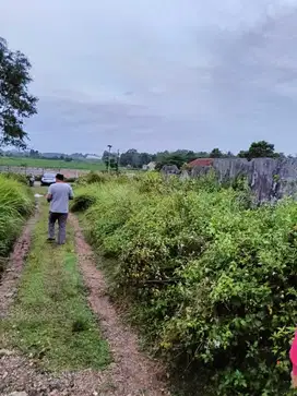 Dijual cepat tanah di cirarab legok