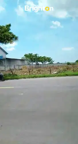 Dijual TANAH INDUSTRI TUBAN, Kecamatan Widang