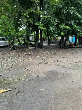 Tanah dijual selatan pemda bantul harga 200 jutaan langsung pemilik