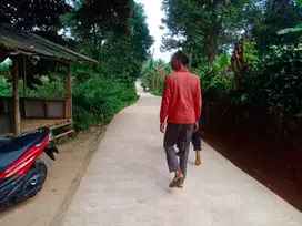 Tanah murah berikut Bangunan Rumah strategis Di desa Tegal kemang