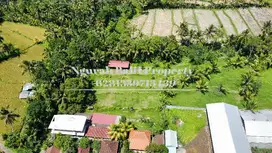 Disewakan Tanah Murah Luas 30 Are View Sawah Ubud