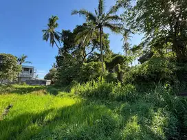 Dikontrakan tanah singapadu ubud