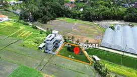 5.5-Are Freehold Land in Kedungu – Stunning Views Near the Beach