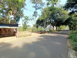 Tanah Ngaliyan Pinggir Jln Aspal dilewati BRT