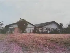 Dijual Tanah+Gudang SHM Tikung, Lamongan, Sebelah Pabrik Sepatu (VN)