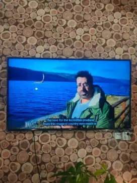 LG 4K UHD 65 Inch