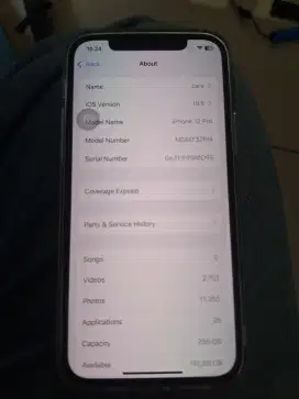 Iphone 12 pro 256Gb