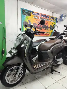 Honda Scoopy Tahu 2022 Kayles