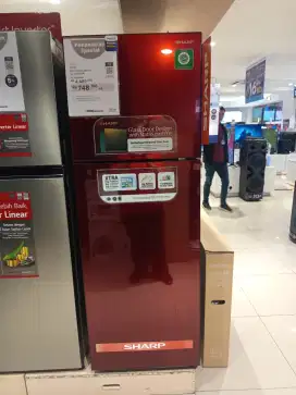 REFF 2DOOR 256L