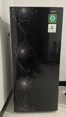 Kulkas sharp 1 pintu SJ-X167MG