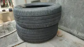 Ben dunlop enasave 300+