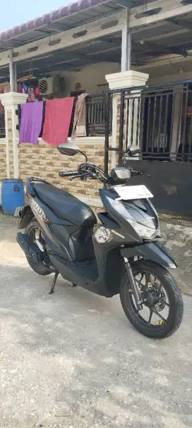 Beat street 2024