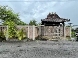 Dijual cepat Joglo klasik dan kost di Nogotirto dekat UNISA & STPN