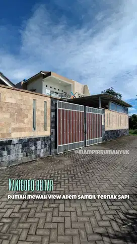 Rumah Mewah view adem plus kandang sapi di Kanigoro’ Blitar Jatim