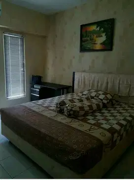UC Barkeley full furnish dkt cornell denver