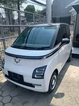 Wuling airev new