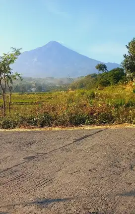 JUAL TANAH AREA WISATA PACET VIEW 2 GUNUNG