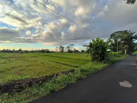 TANAH SAWAH BUAT INVESTASI MURAH DIDAERAH SAYEGAN SLEMAN YOGYAKARTA