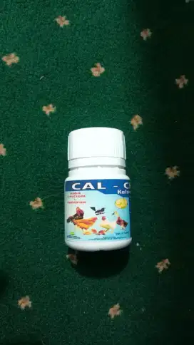 CAL-CHICK KALSIUM UNGGAS, 50 BUTIR